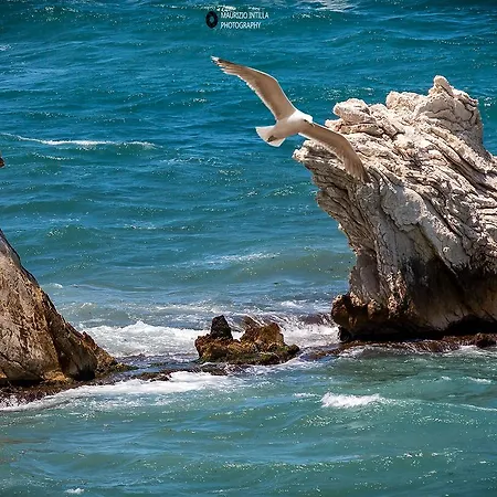 Mare E Monti 4* شينيسي